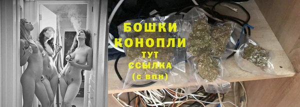 бошки Осинники
