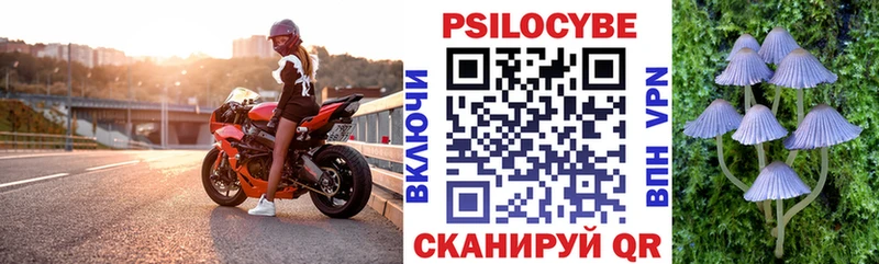 Псилоцибиновые грибы Magic Shrooms  магазин продажи наркотиков  Сертолово 