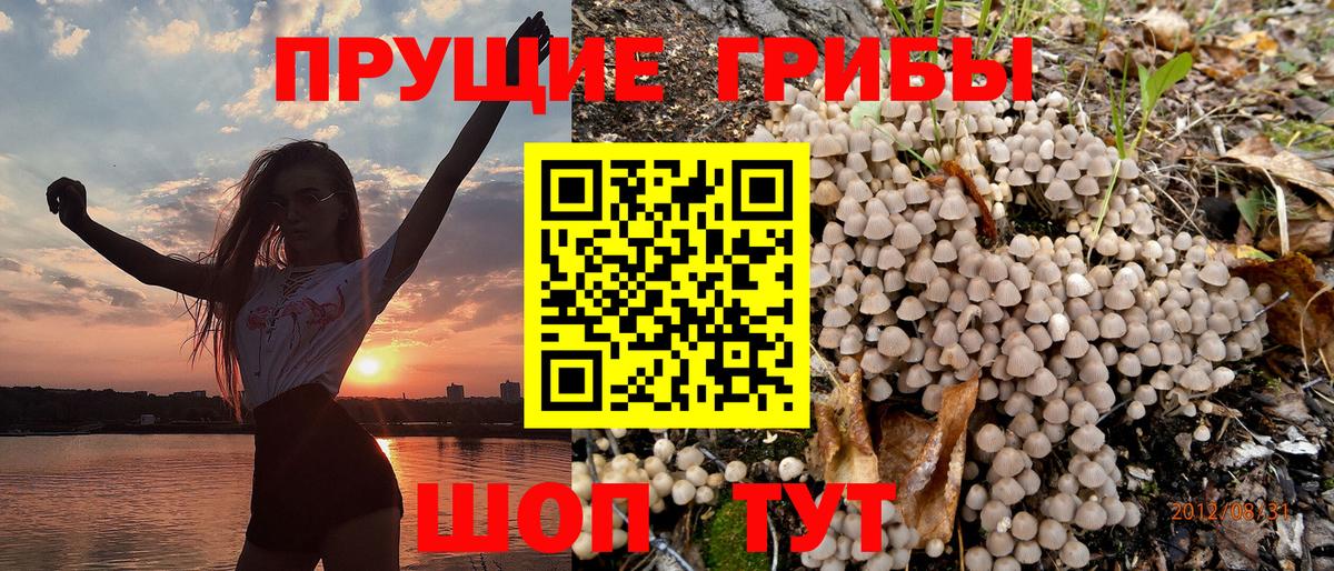 Сертолово  Галлюциногенные грибы Cubensis  Галлюциногенные грибы мухоморы  Вход с VPN 
