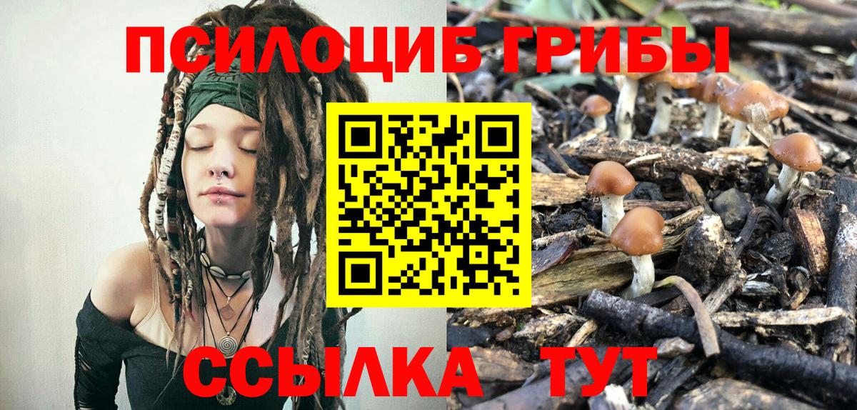 Галлюциногенные грибы Magic Shrooms Сертолово